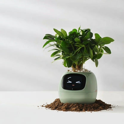 Tuya-Ivy pot de fleur intelligent