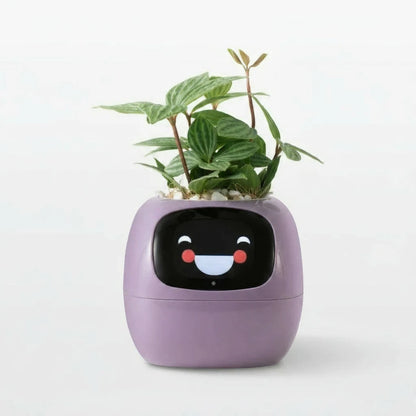 Tuya-Ivy pot de fleur intelligent