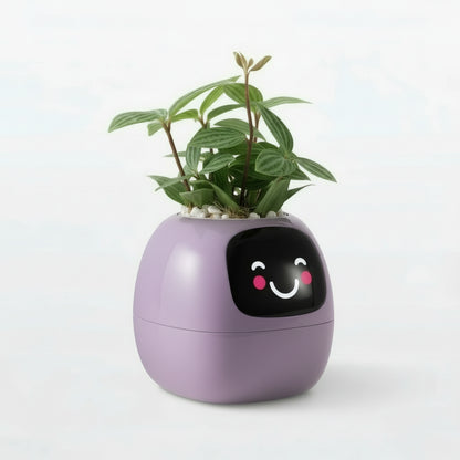 Tuya-Ivy pot de fleur intelligent